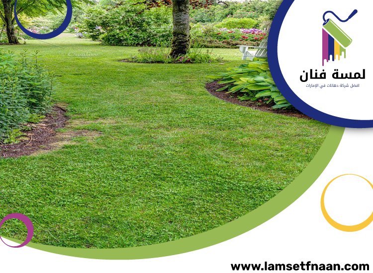 تركيب عشب طبيعي في راس الخيمة