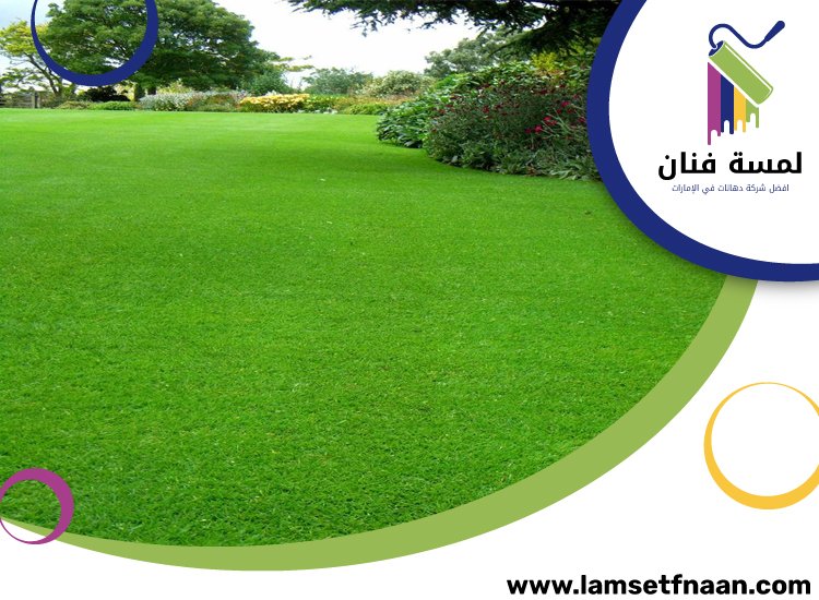 تركيب عشب طبيعي في دبي