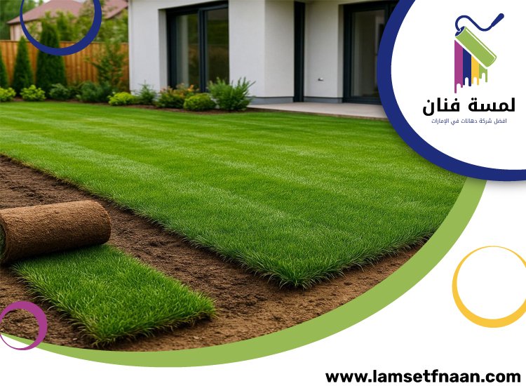 تركيب عشب طبيعي في الفجيرة