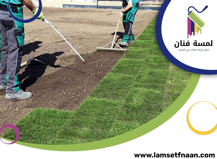 تركيب عشب طبيعي في راس الخيمة